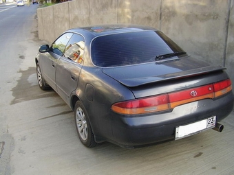 Corolla Ceres