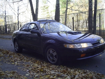 Corolla Ceres