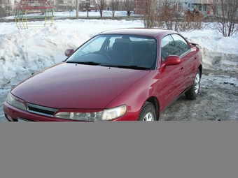 1993 Toyota Corolla Ceres