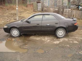 1993 Toyota Corolla Ceres