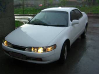 Corolla Ceres
