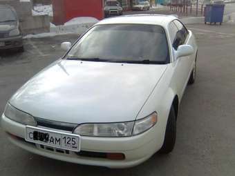 Corolla Ceres