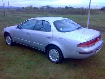 Corolla Ceres