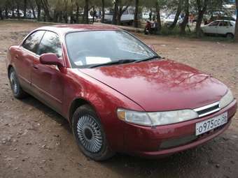 Corolla Ceres