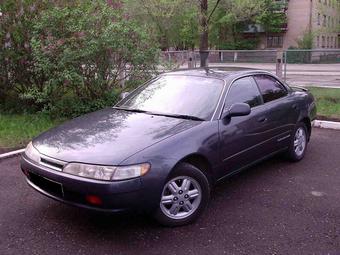 1993 Toyota Corolla Ceres