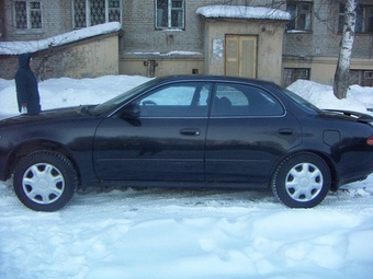 Corolla Ceres