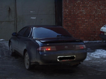 Corolla Ceres