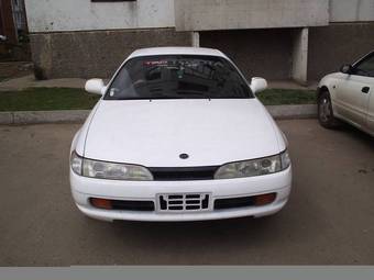 Corolla Ceres