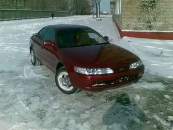 Corolla Ceres