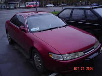 1994 Toyota Corolla Ceres