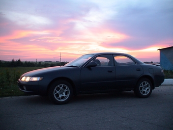 1995 Toyota Corolla Ceres