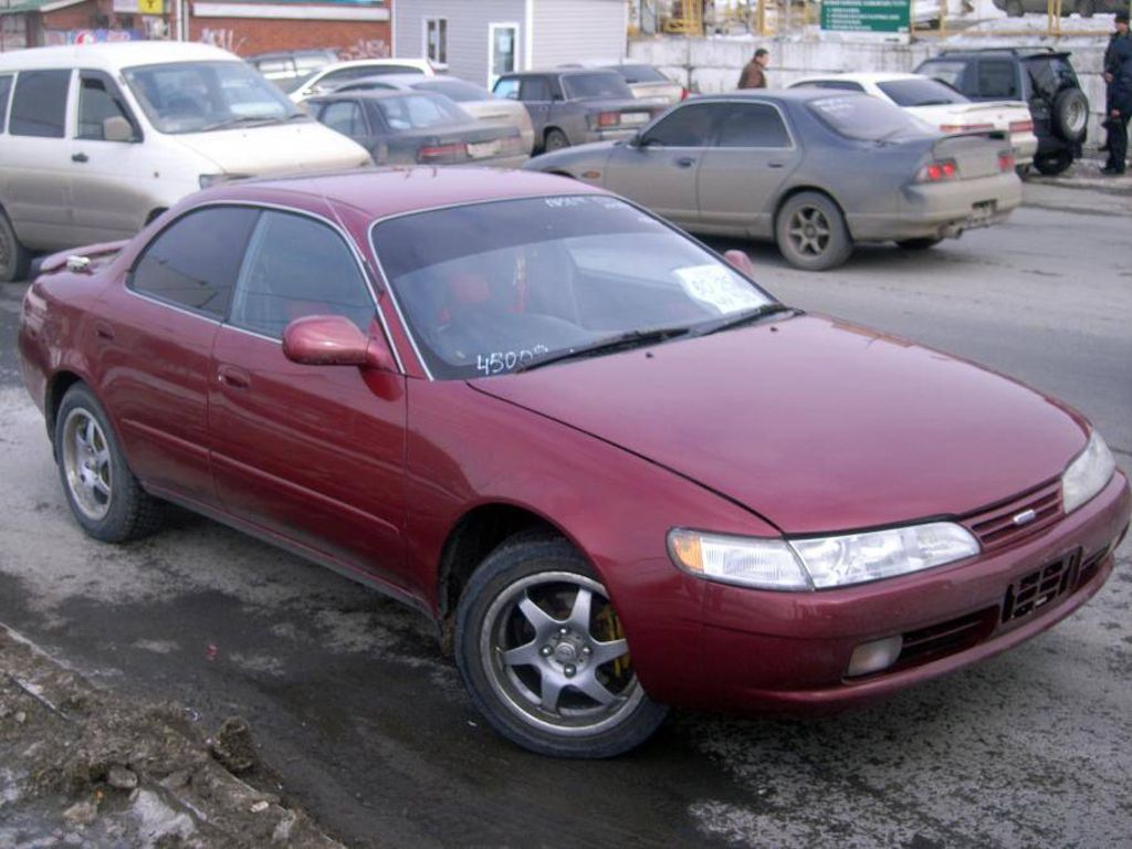 Ноускат toyota corolla ceres