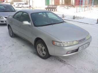 Corolla Ceres