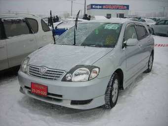 1999 Toyota Corolla Fielder