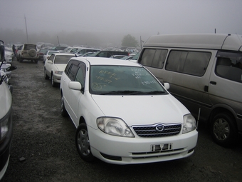 2000 Toyota Corolla Fielder