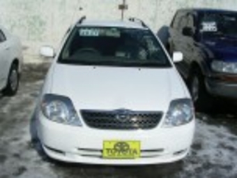 2000 Toyota Corolla Fielder