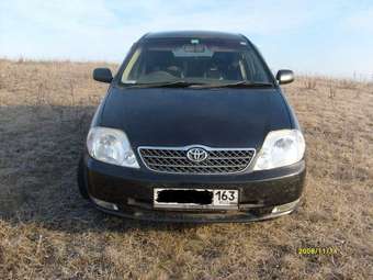 Toyota Corolla Fielder