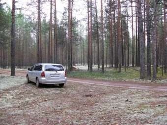 2000 Toyota Corolla Fielder