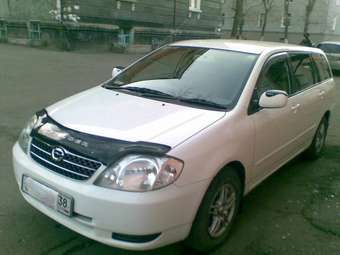 Corolla Fielder