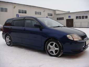 2000 Toyota Corolla Fielder