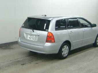 Corolla Fielder