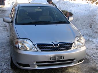 2001 Toyota Corolla Fielder