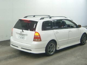 Corolla Fielder