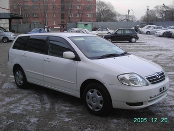 Corolla Fielder