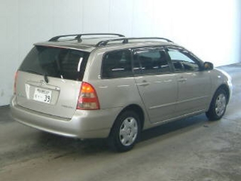 Corolla Fielder