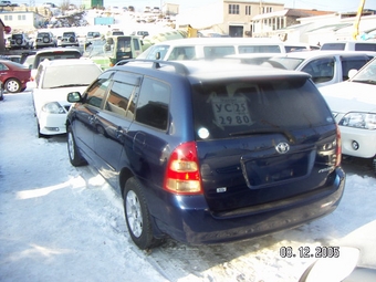 Corolla Fielder