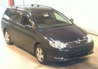 Corolla Fielder