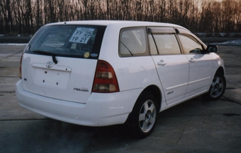 Corolla Fielder