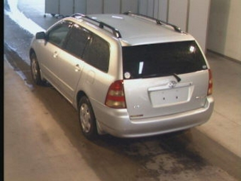 Corolla Fielder