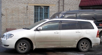 Corolla Fielder