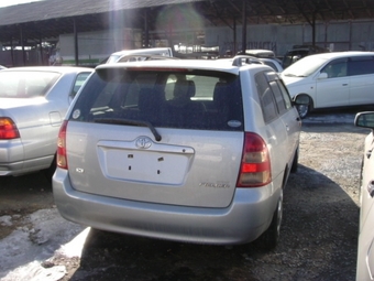 Corolla Fielder