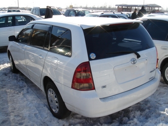 Corolla Fielder