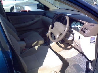 Corolla Fielder