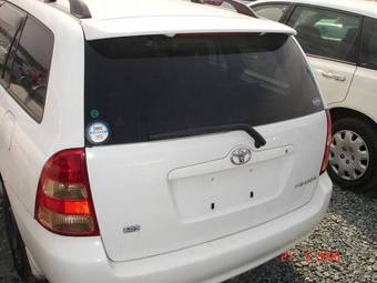 Corolla Fielder