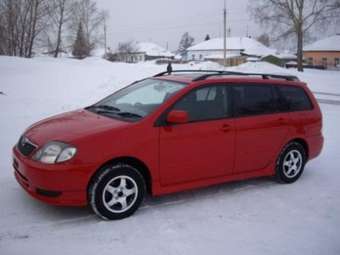 Corolla Fielder