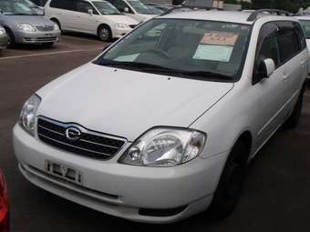 2001 Toyota Corolla Fielder