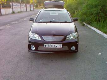 Toyota Corolla Fielder