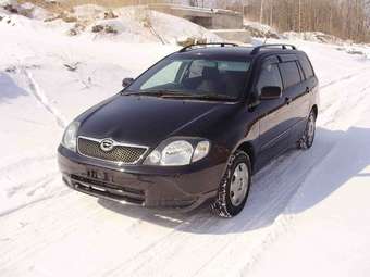 Toyota Corolla Fielder