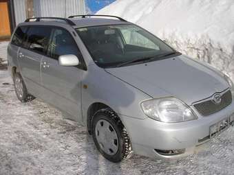 Corolla Fielder