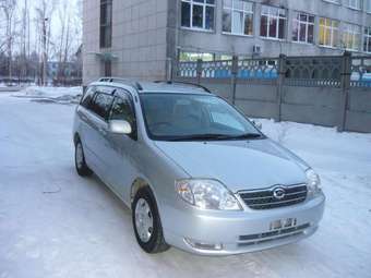 Corolla Fielder