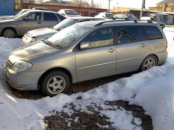 2001 Toyota Corolla Fielder