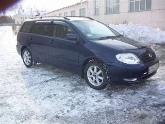 Toyota Corolla Fielder