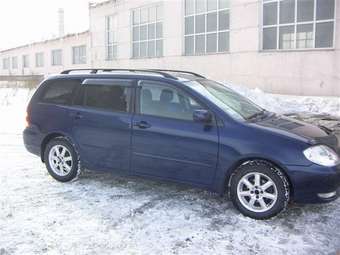 Toyota Corolla Fielder