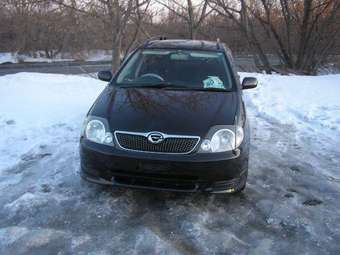 Corolla Fielder