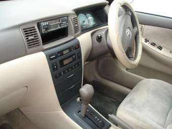 Corolla Fielder