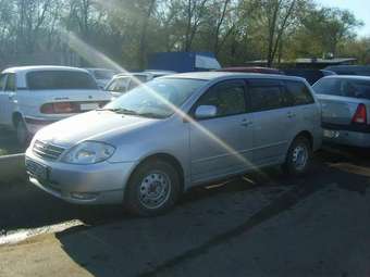 Corolla Fielder